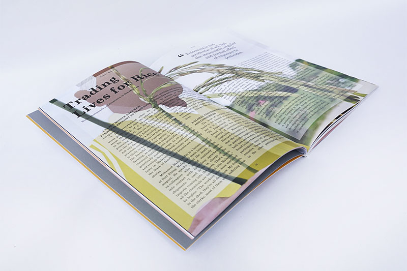 Plates, Vol.1: RICE — PLATES independent food culture magazine